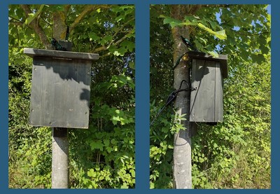 Horchbox Holzkasten an einem Baum
