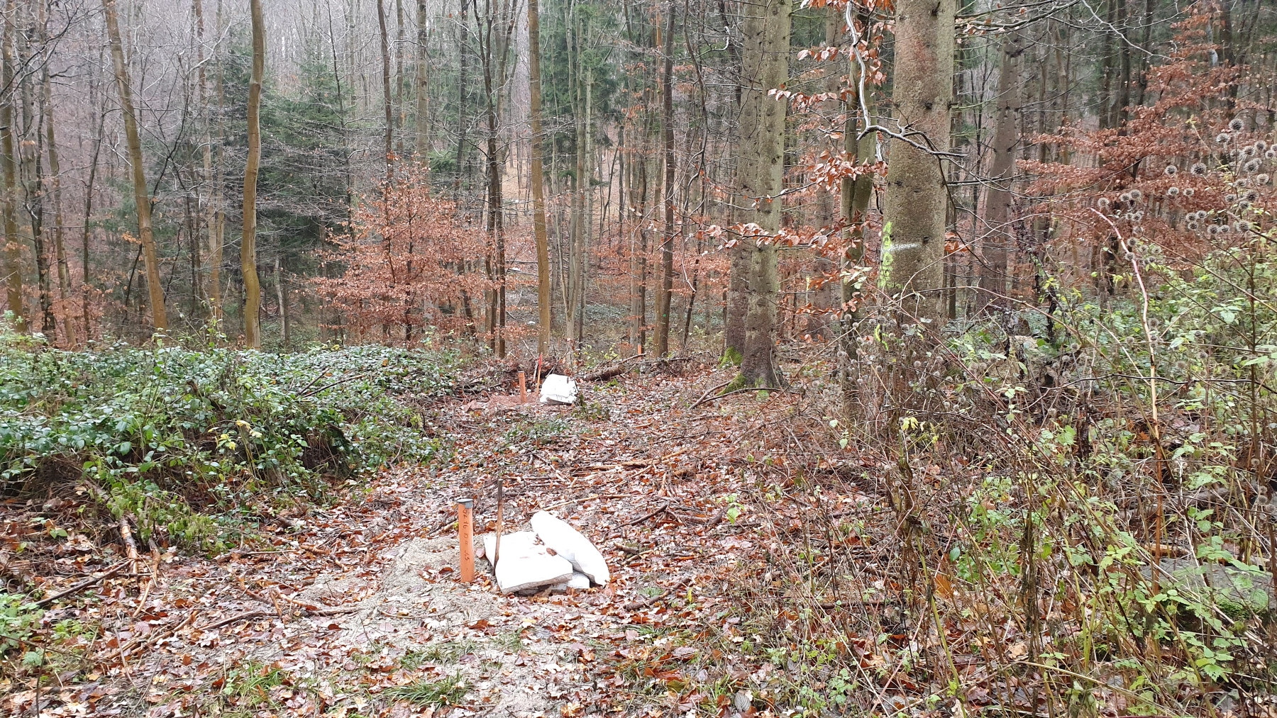 In einem Wald ragen Rohre aus dem Boden. Daneben liegen weiße Säcke.