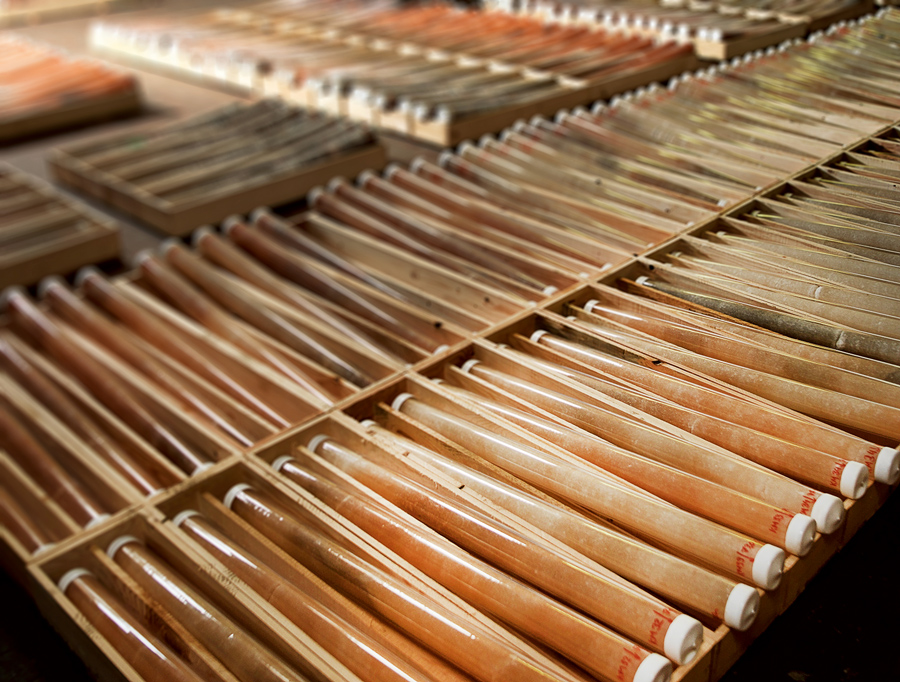 Nebeneinander aufgereiht liegen unzählige Bohrkerne.